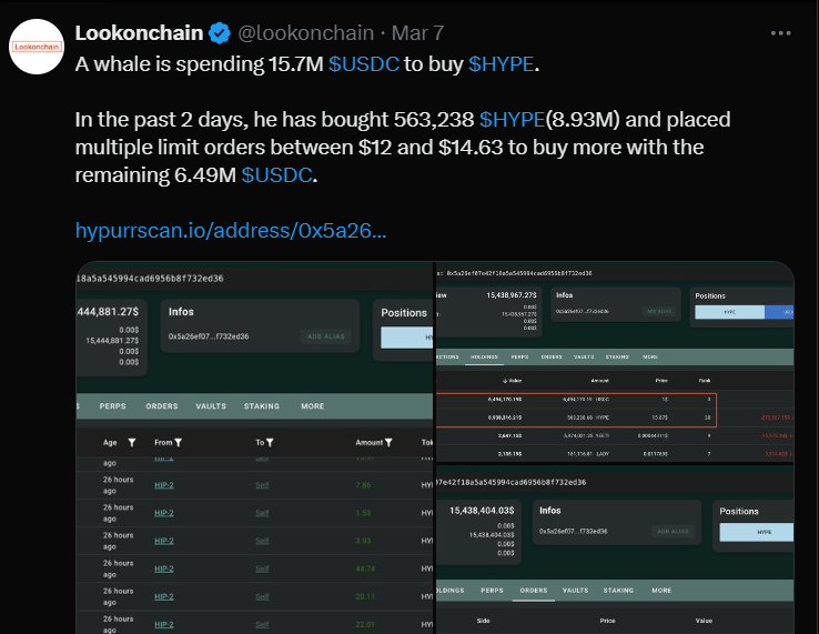 Kripto Balinası Düşüşte HYPE Token Satın Aldı!