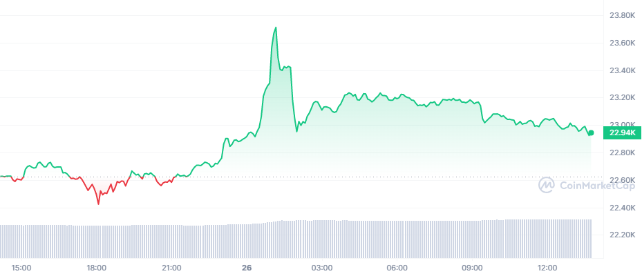 Popüler Altcoinler ve Yükseliş Trendleri