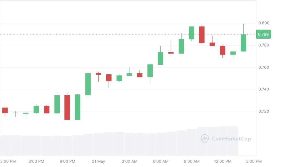 Pi Network (PI): Yüksek Volatilite ve Güncel Durum